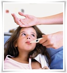 객체지향에 대한 고찰