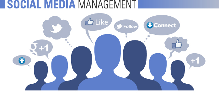 SOP이전 커리큘럼 정리