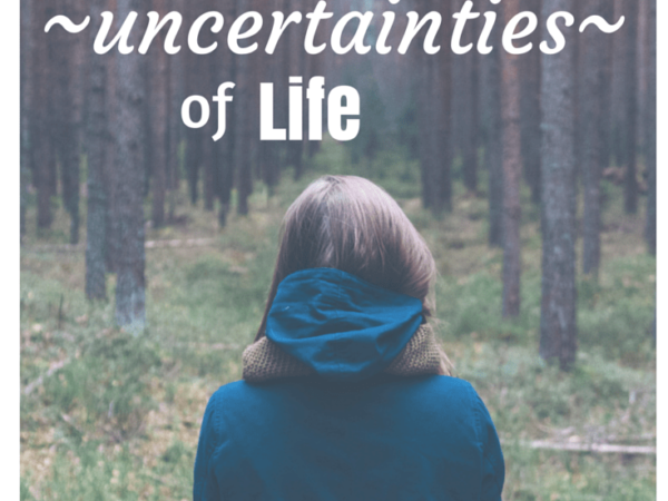 불확실성의 연속, 공부의 반년.